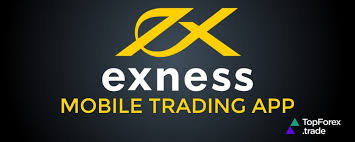 Discover the Benefits of Trading with Exness Forex Broker