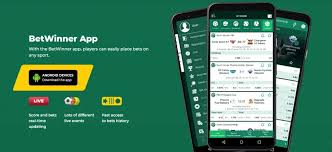 Explore the Thrills of BetWinner Sportsbook 6