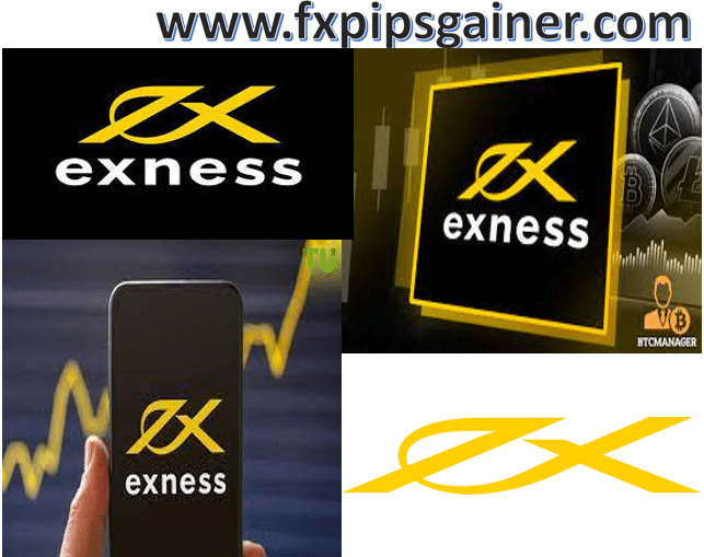 The Ultimate Guide to Choosing Your FX Broker